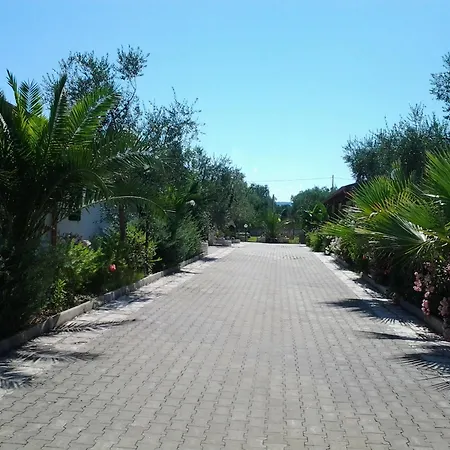 Terra Nostra