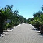 Terra Nostra