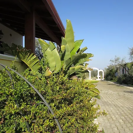 Konukevi Terra Nostra 4*