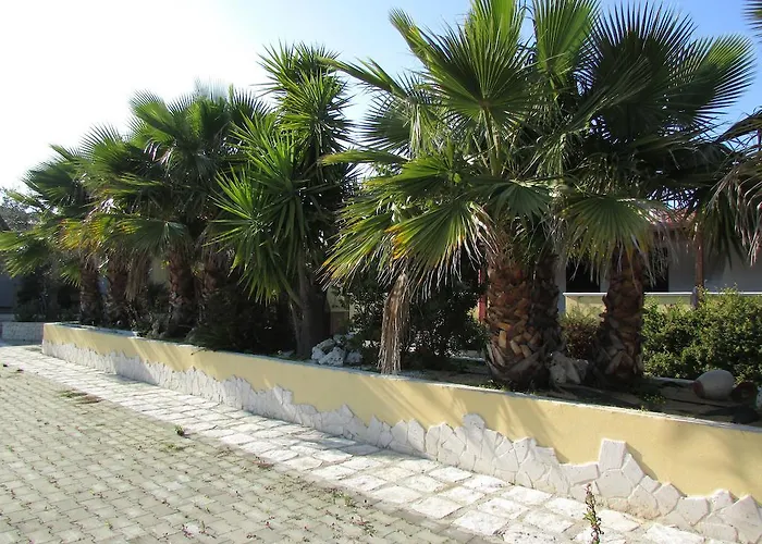 Terra Nostra Βιέστε